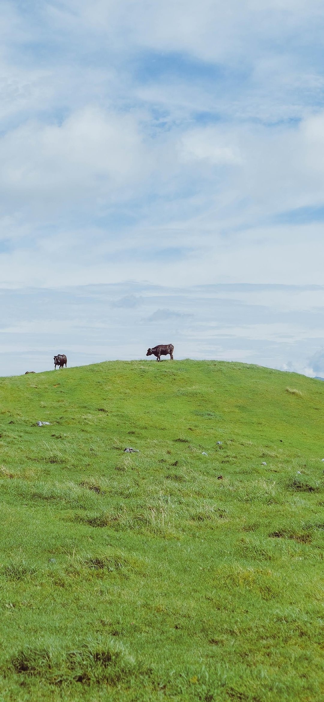 精选壁纸一组超好看的壁纸请签收,超好看的夏日清凉壁纸