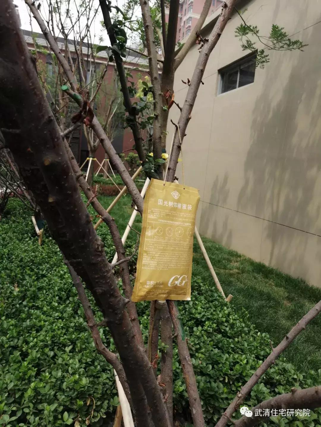 武清南湖片区房子值得投资吗,武清南湖地铁五号线规划图