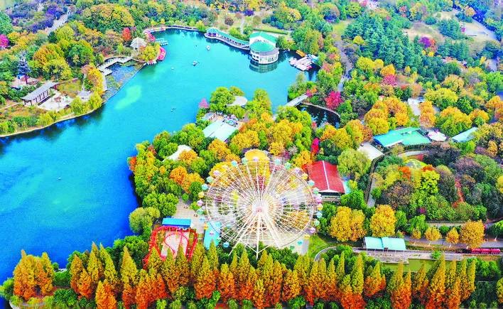 合肥被评为最宜居的城市,西安与合肥哪个宜居