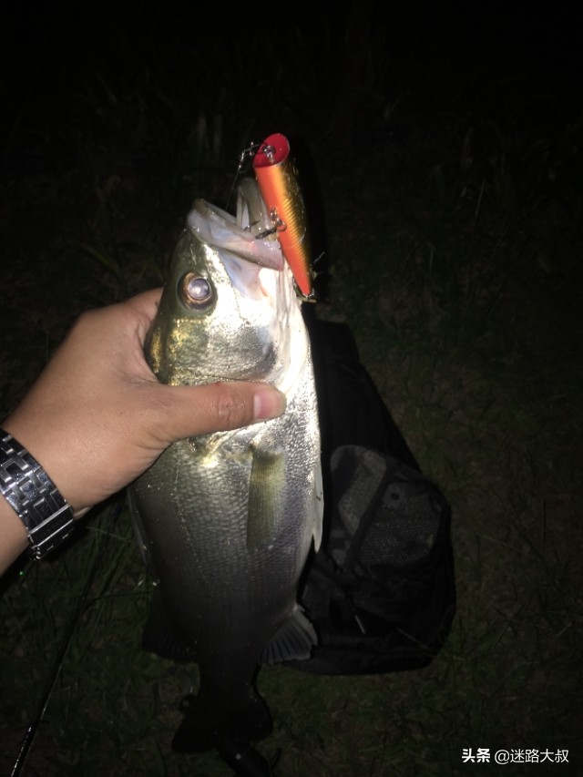 路亚翘嘴必备饵,路亚新手必备三个忠告