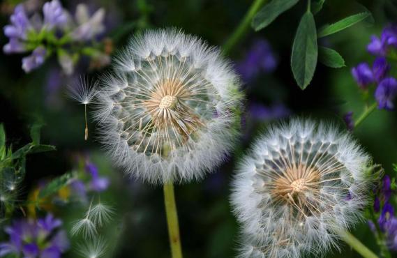 濂冲+鍙h厰棣欐按鎸佷箙鐣欓,濂介椈鍙h厰鍠烽浘棣欐按