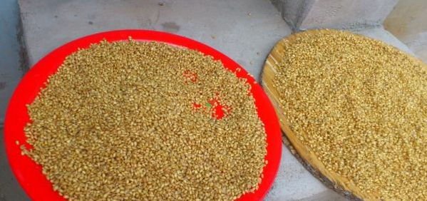 学会这样制作钓鱼窝料，鱼获起码翻三倍，你就偷着了吧