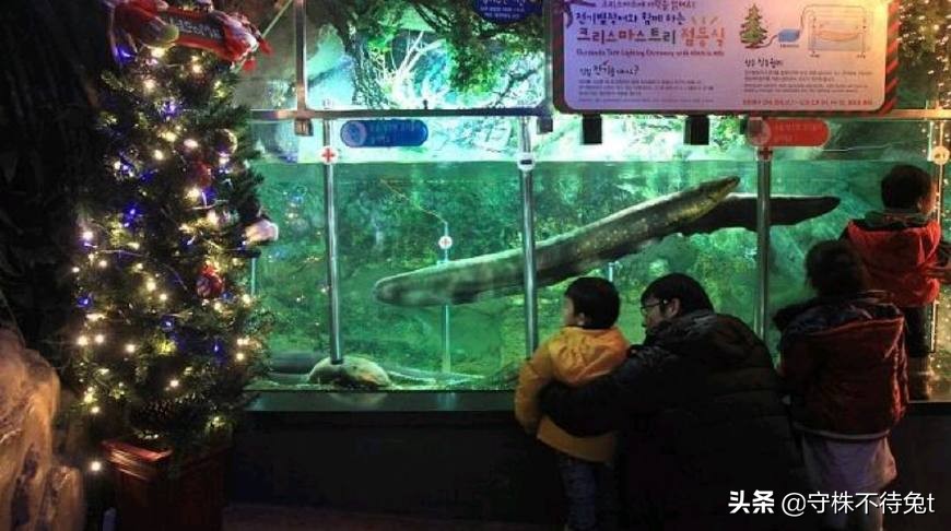 10个冷知识看了涨知识,十个冷知识除鞋臭