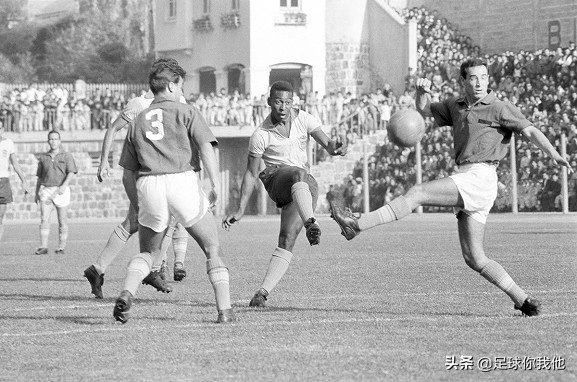 绰号和动物有关的巴西球星,巴西足球名将绰号小鸟