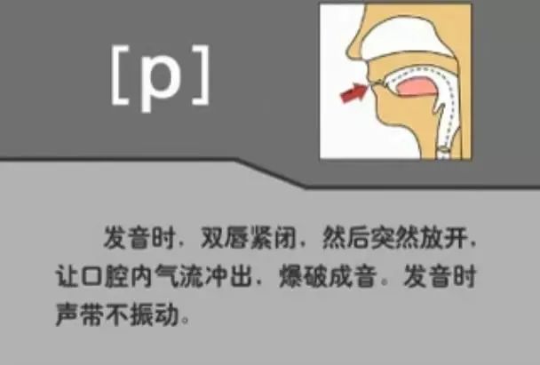 英语音标发音表48个音标正确读法,英语干货48个音标快速记忆法下
