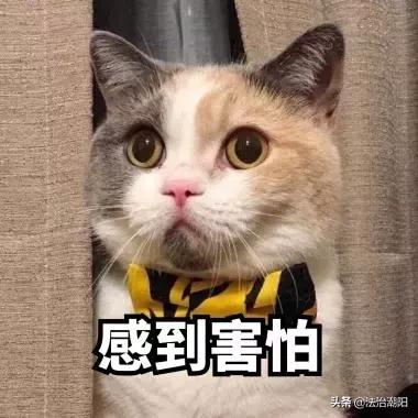 比*毒冰**毒性还大的“0号胶囊”你可知道？