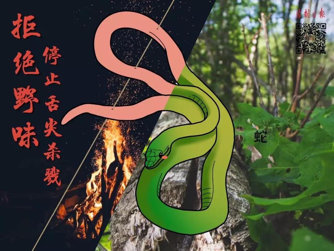 呼吁大家拒绝野味怎么说,拒绝野味该做到的事情