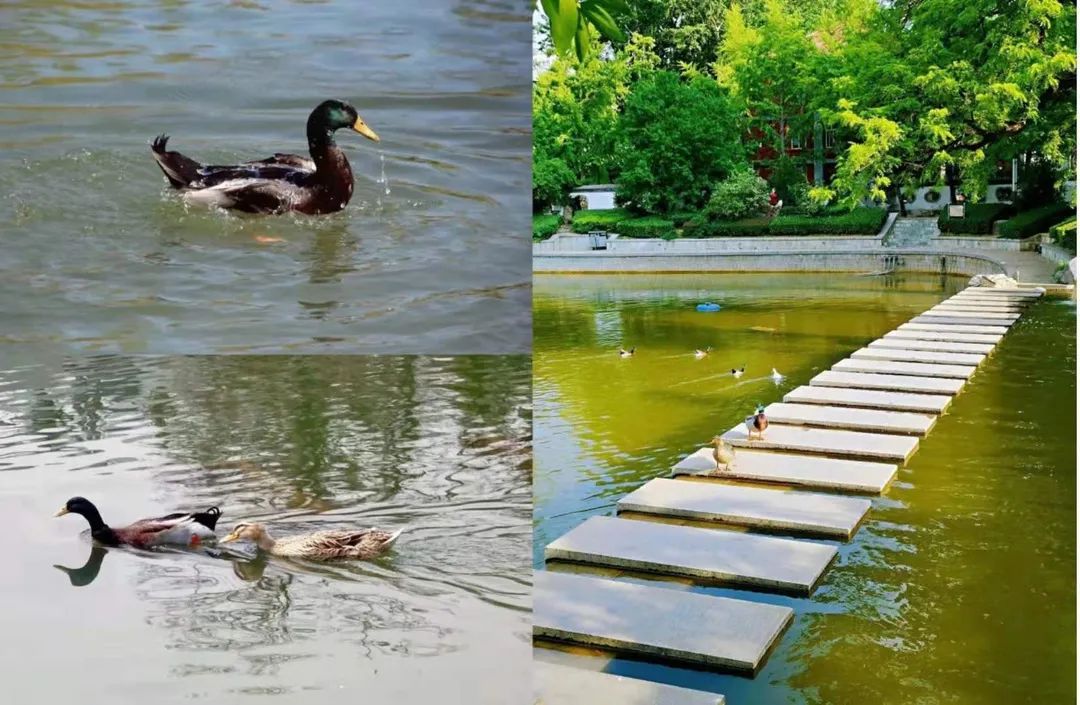 多少分可以上个好大学,多少分能上美校