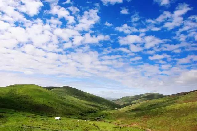 若尔盖,最美的川西草原