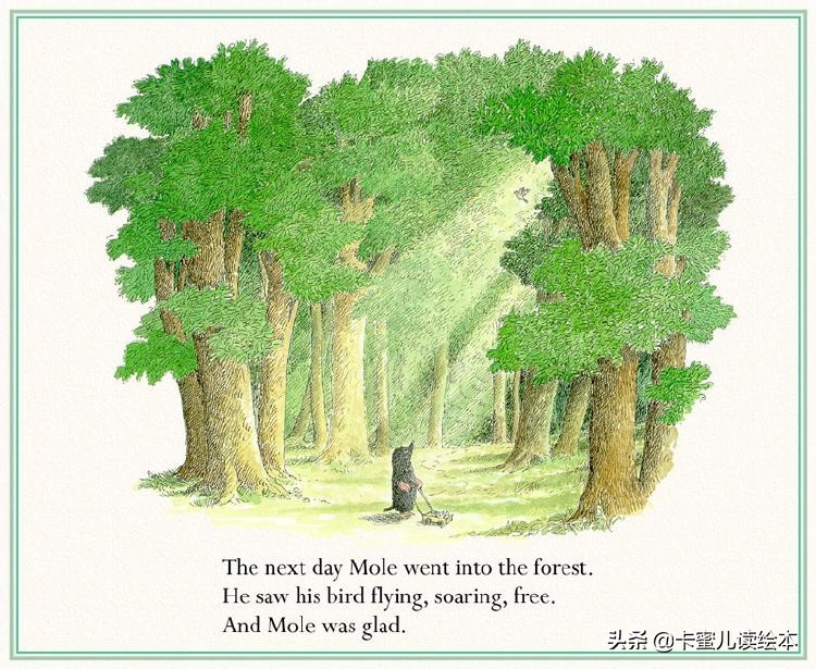 英文绘本动画故事完整版,英语绘本鼹鼠和小鸟