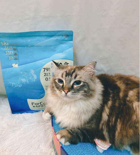 斯芬克斯猫拉屎臭,猫拉屎臭