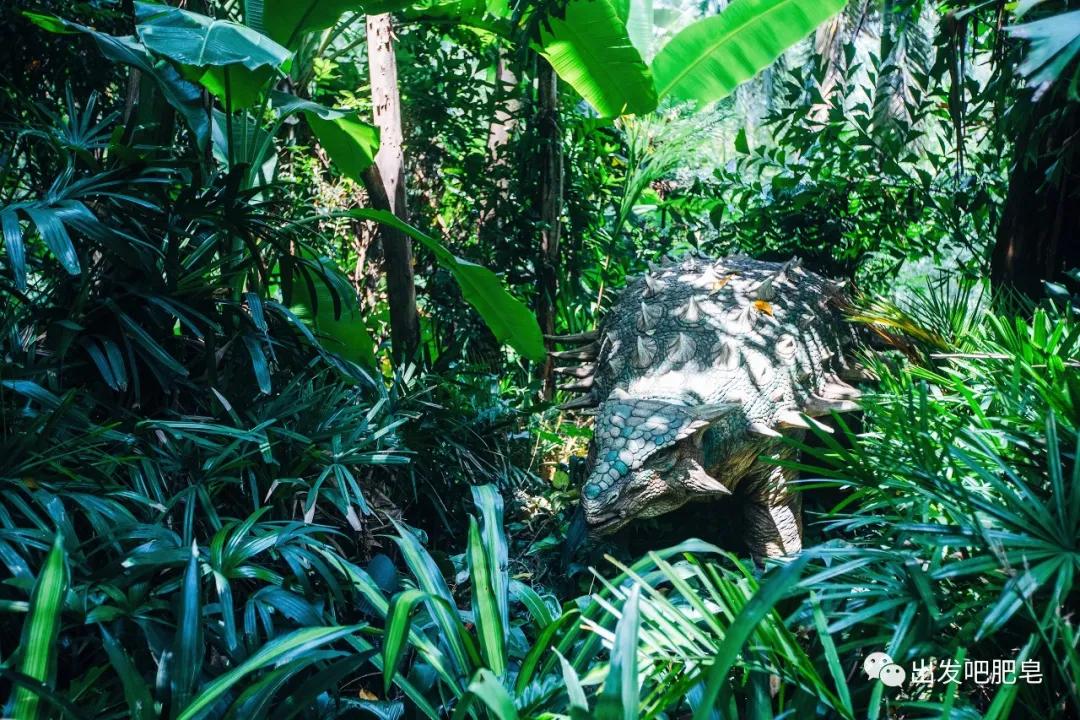 长隆飞鸟乐园长隆熊猫酒店怎么选,周一长隆野生动物园游玩攻略