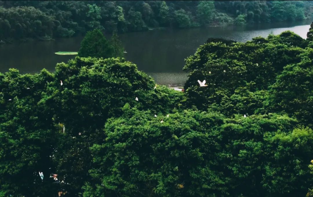 浦江朝阳湖值得游玩吗,浦江夜色旅游攻略