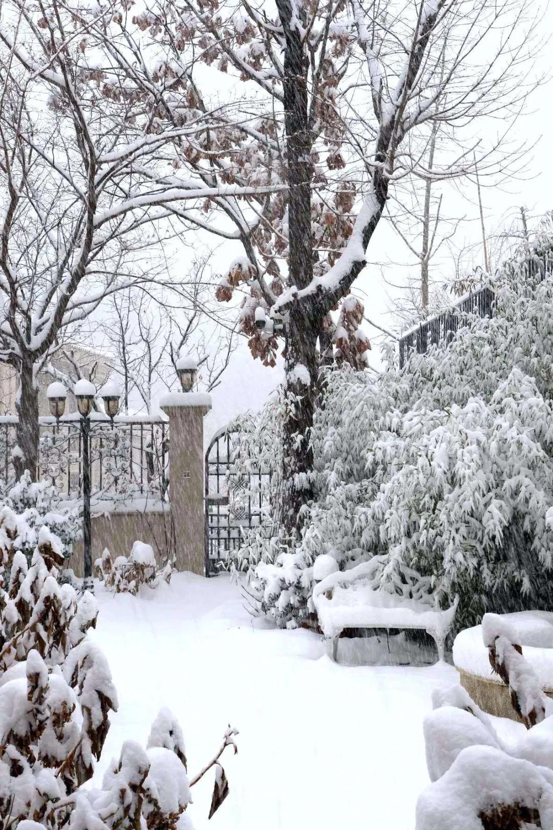 东北花园四季开花植物,北方一年四季都开花的花园