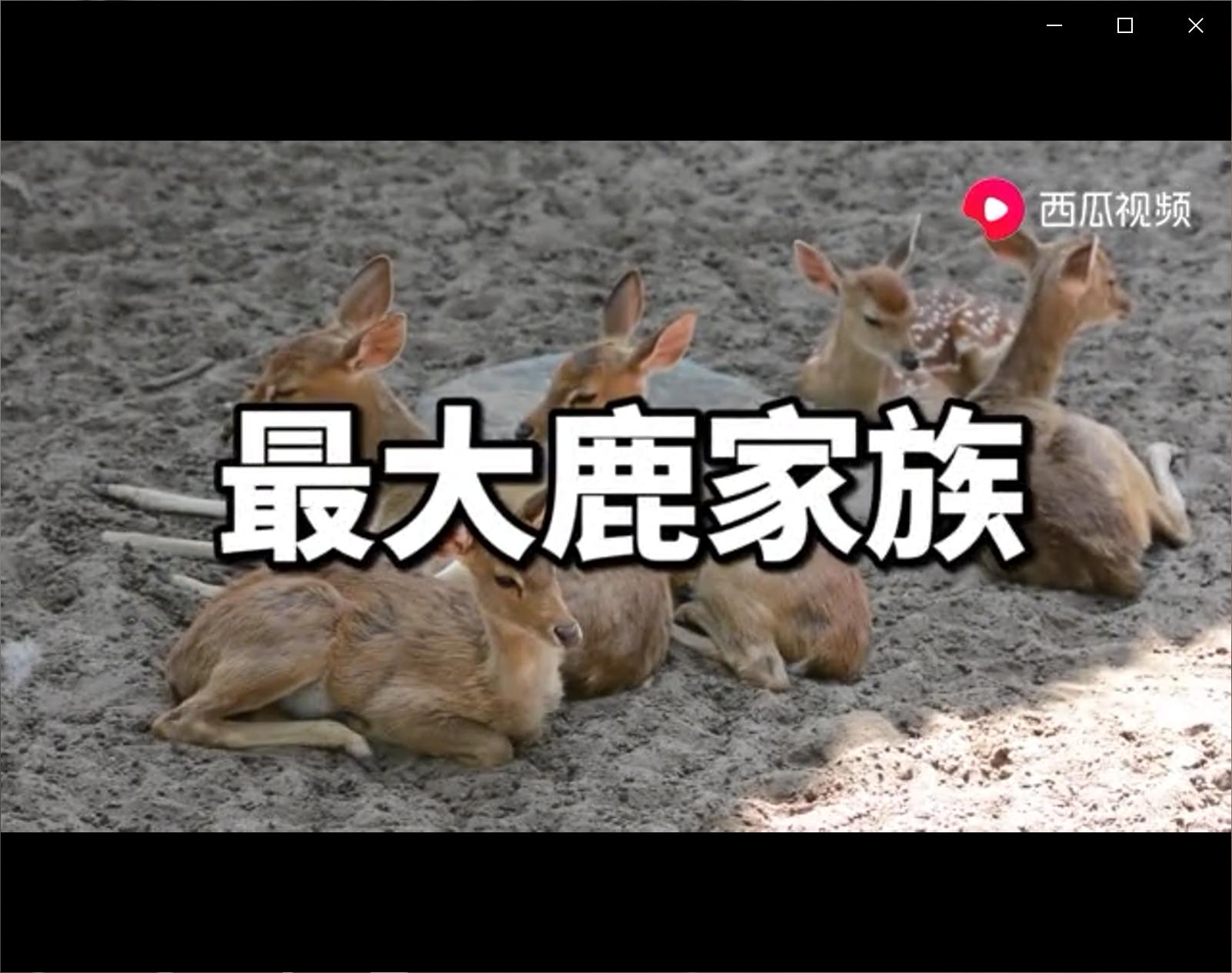 全球最大的医院在郑州什么地方,世界最大医院在郑州