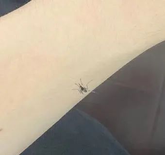 妹子说遇到烦心事怎么回,妹子说遇到麻烦了怎么回