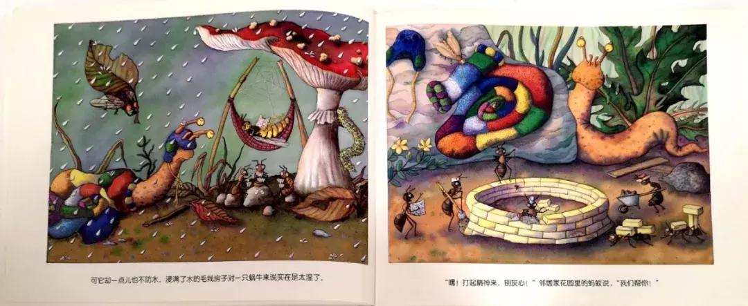 蜗牛躲在小房子里不出来怎么办,没有蜗牛壳的蜗牛是怎么回事