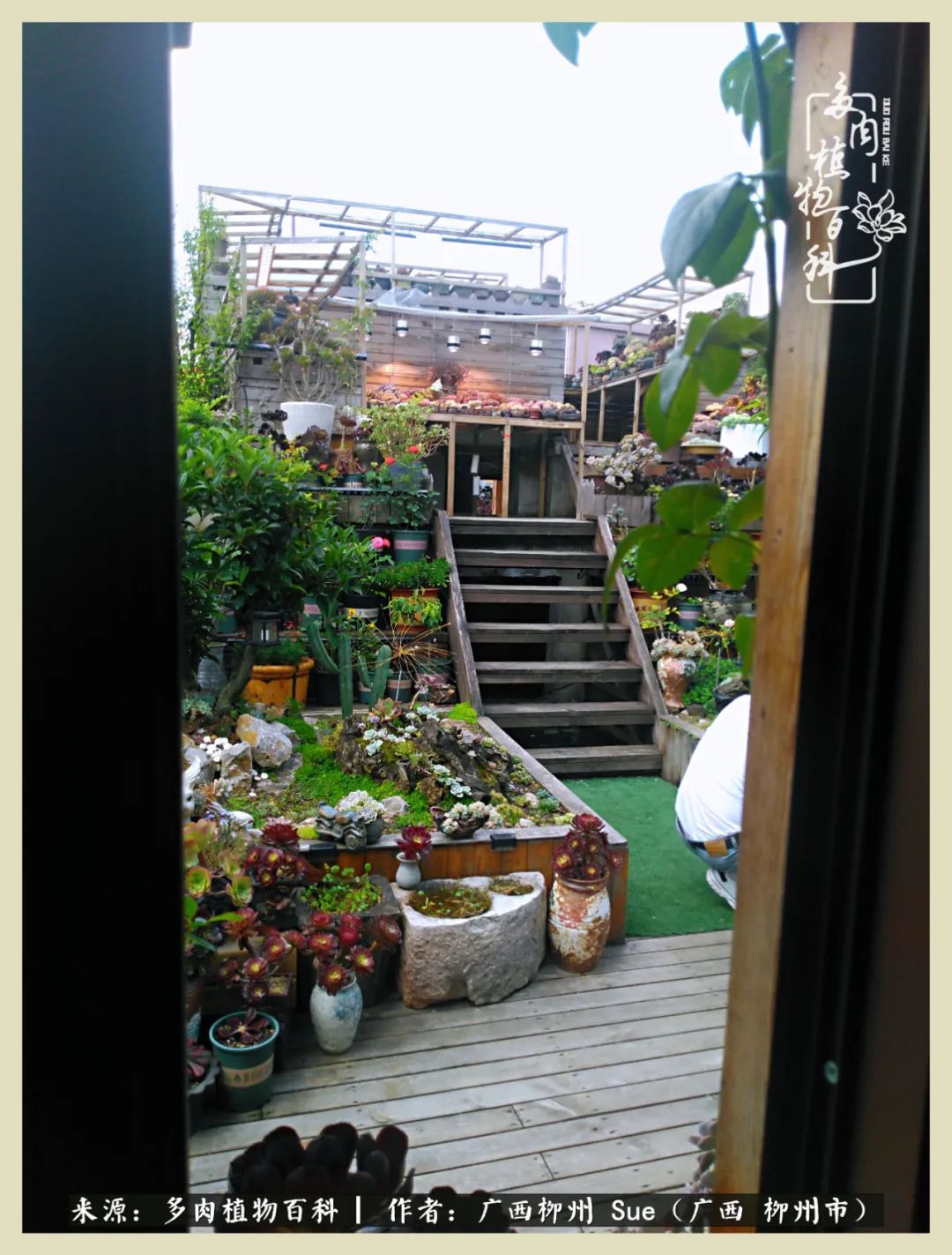 艳阳高照凉爽贵州,我要勤快地捕捉美好!(二)