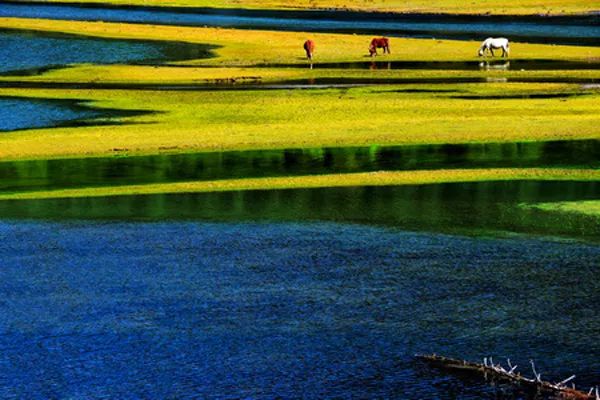 从康定开始一路都是绝美风景,从康定到新都桥景色视频