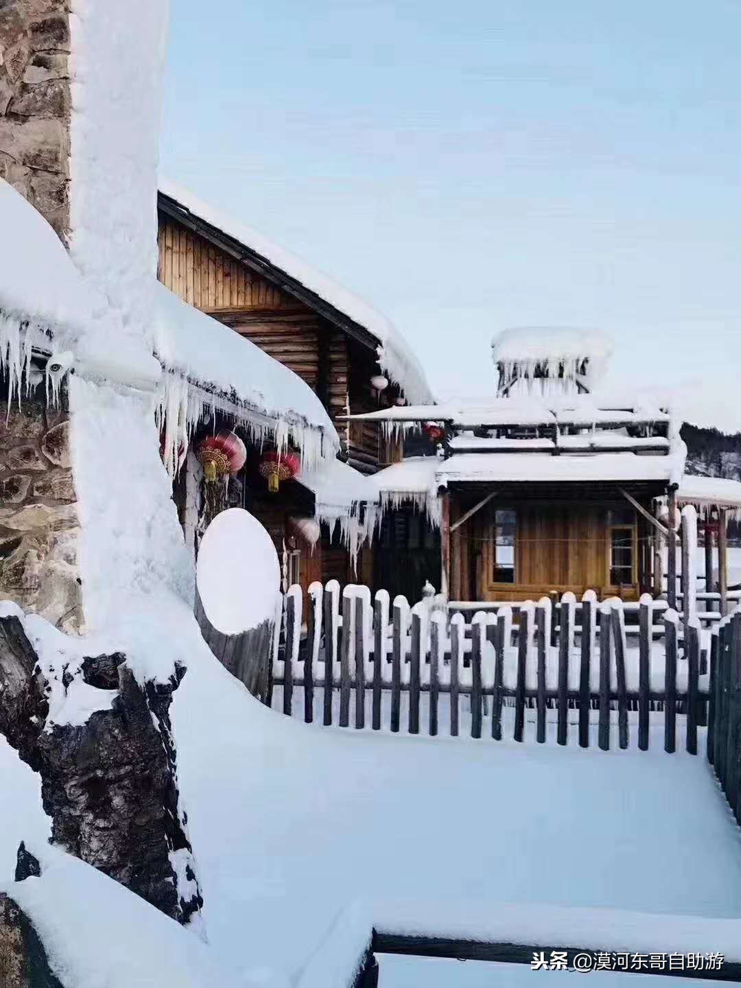 漠河极寒之旅,漠河遇到熊