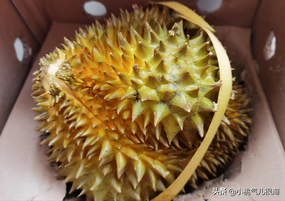 应季水果这样吃便宜又养生,这5种时令水果营养又美味