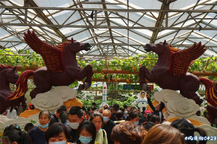 菜博会第一届,2022年菜博会天下情怀景观