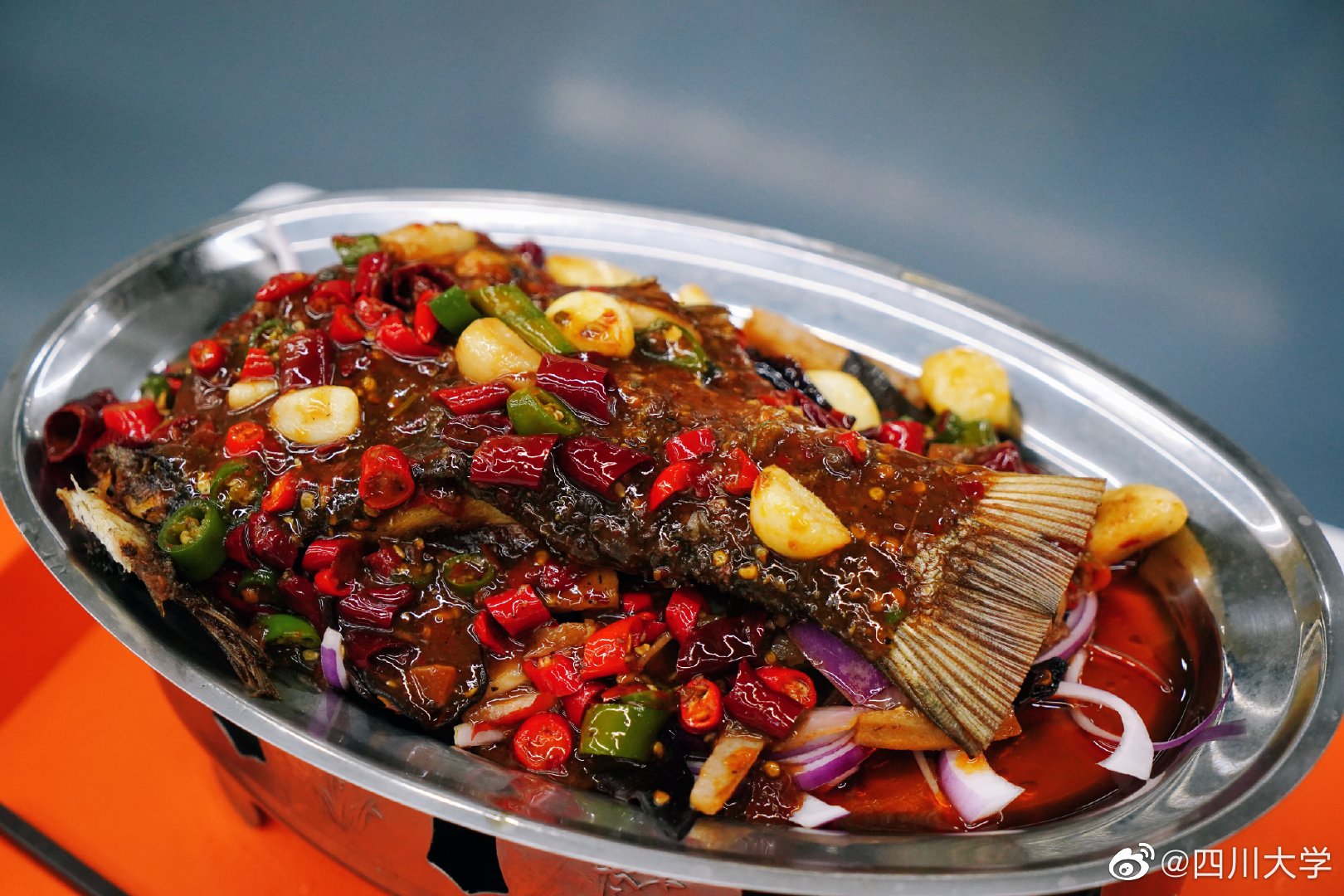 四川的大学食堂伙食,四川大学的饭菜好不好吃