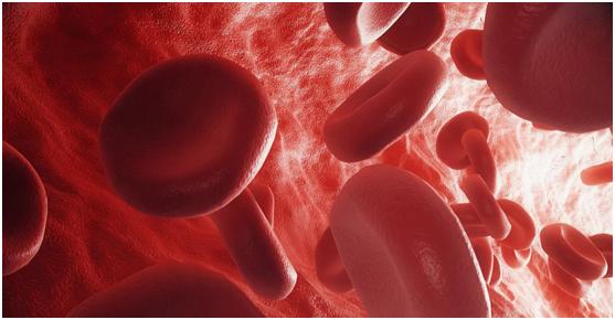 腿部脂肪要怎么快速练掉,腿部脂肪很硬怎么减肥