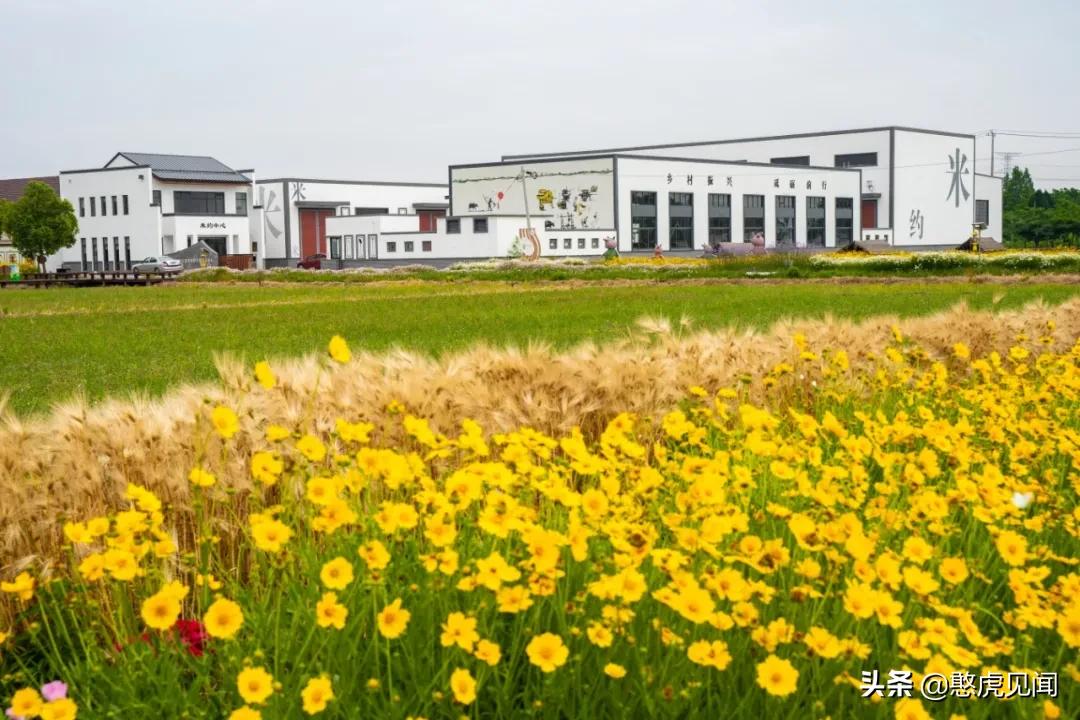 苏州乡村旅游景点大全排名,苏州乡村旅游小镇有哪些