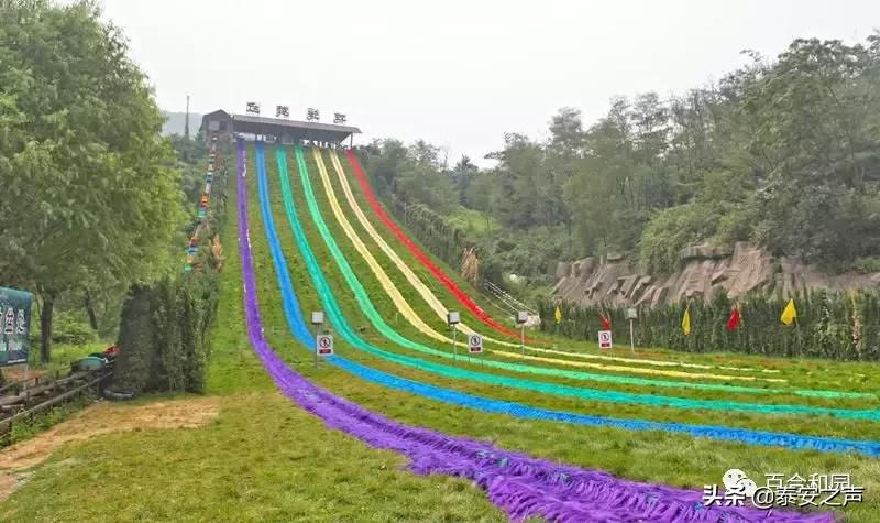 泰山百合和园简介,泰山百合和园