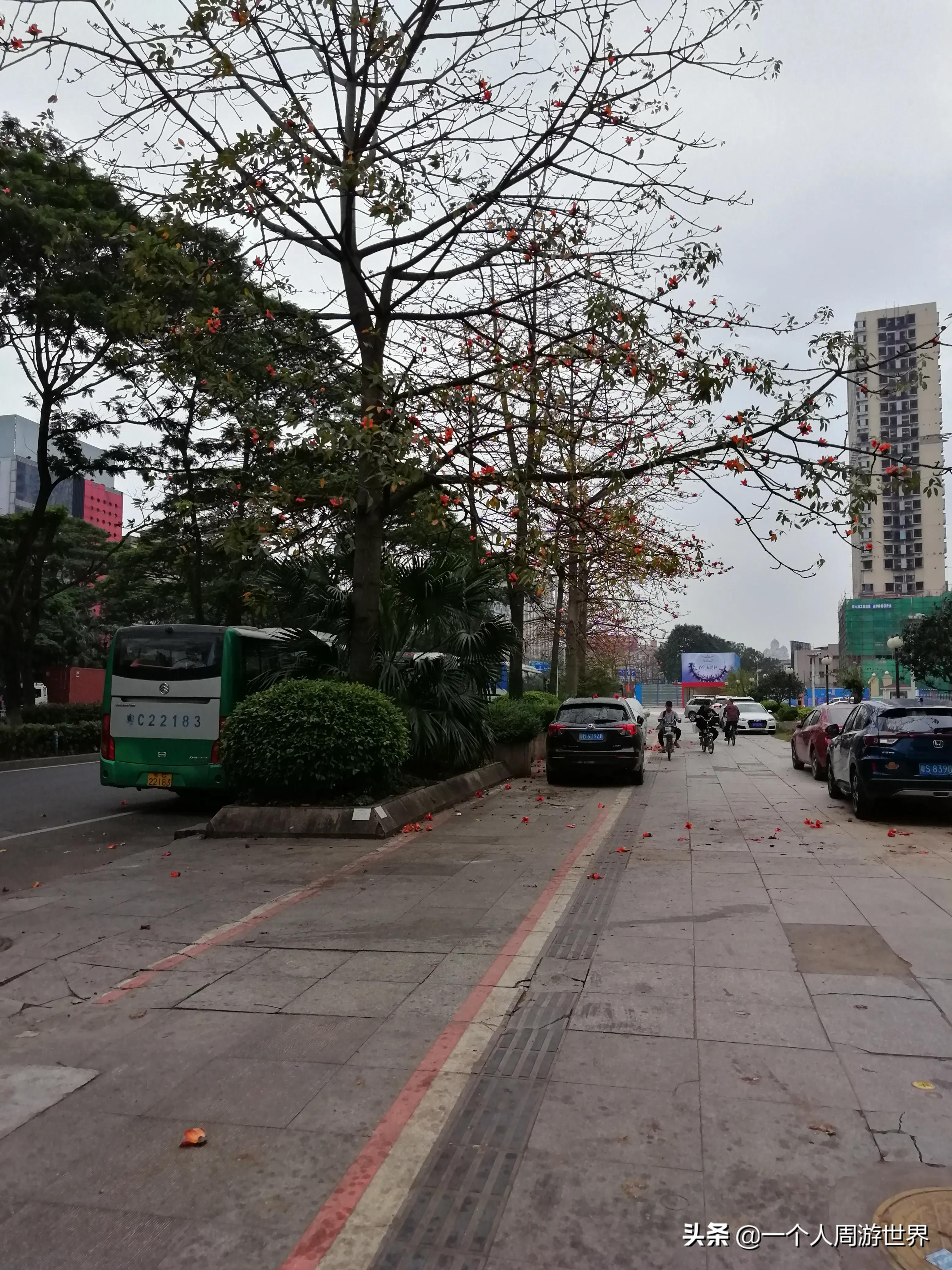 港澳游跟团坑,港澳游旅行团避坑