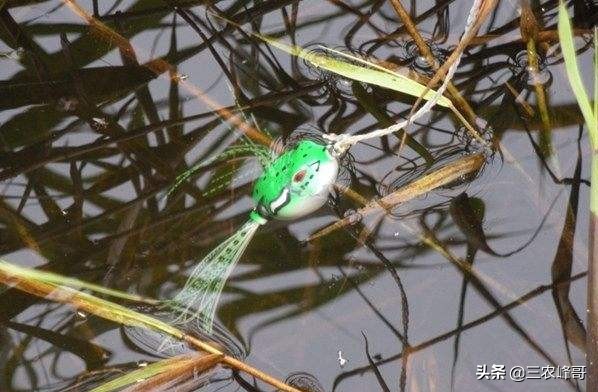 雷强打黑雷蛙操作,雷强打黑蛙甩不远怎么办