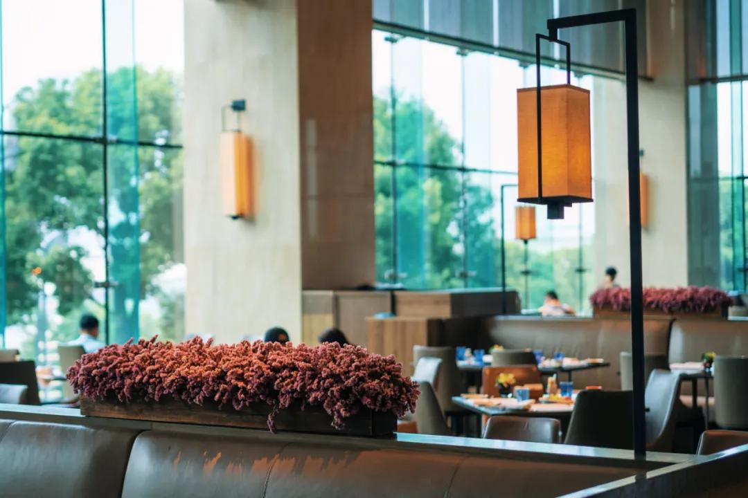 重庆市区内最好的酒店,重庆酒店必住性价比高排行榜