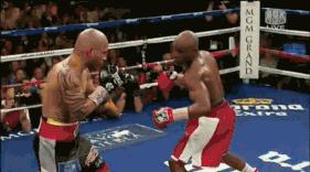 自学散打入门训练全套技巧,散打自学教程从零开始