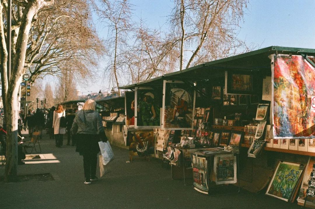 旅行thetravel1973,旅行traveltrip