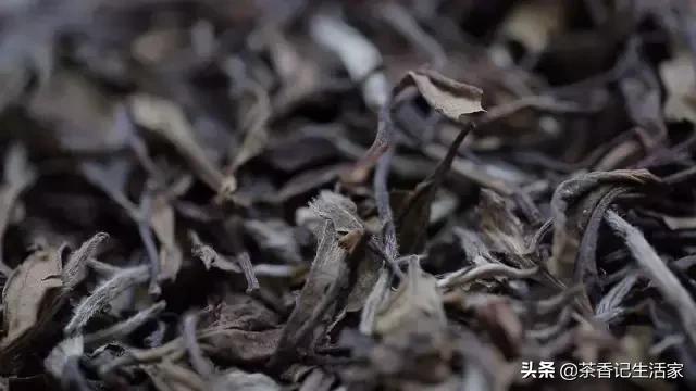 白茶好喝吗什么口感,是不是所有的白茶都是越放越好喝