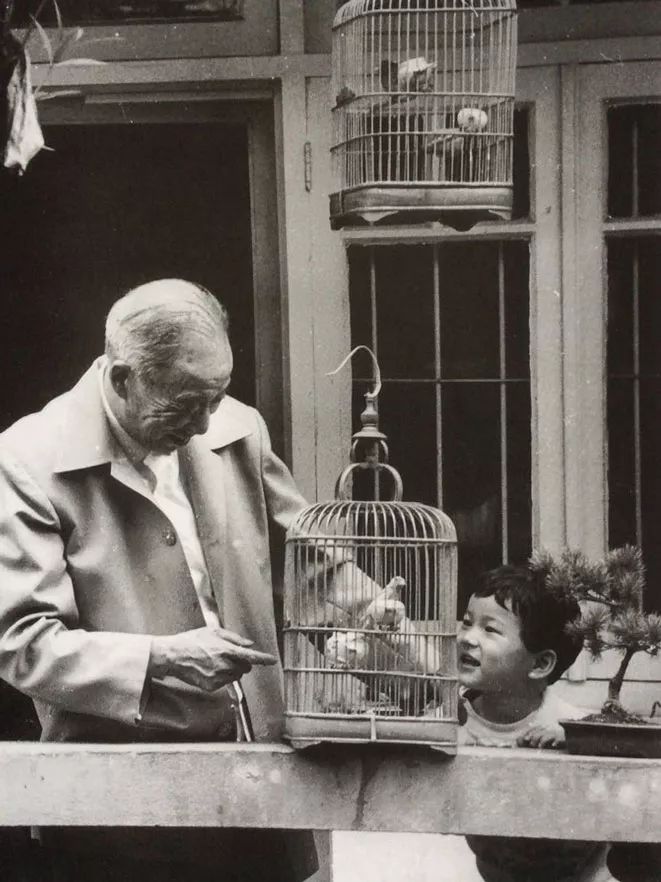 中国园林第一人，每个中国人都该谢谢他