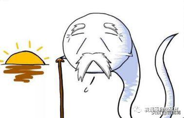 精子死亡怎么治疗调理,精子全部死亡怎么治疗