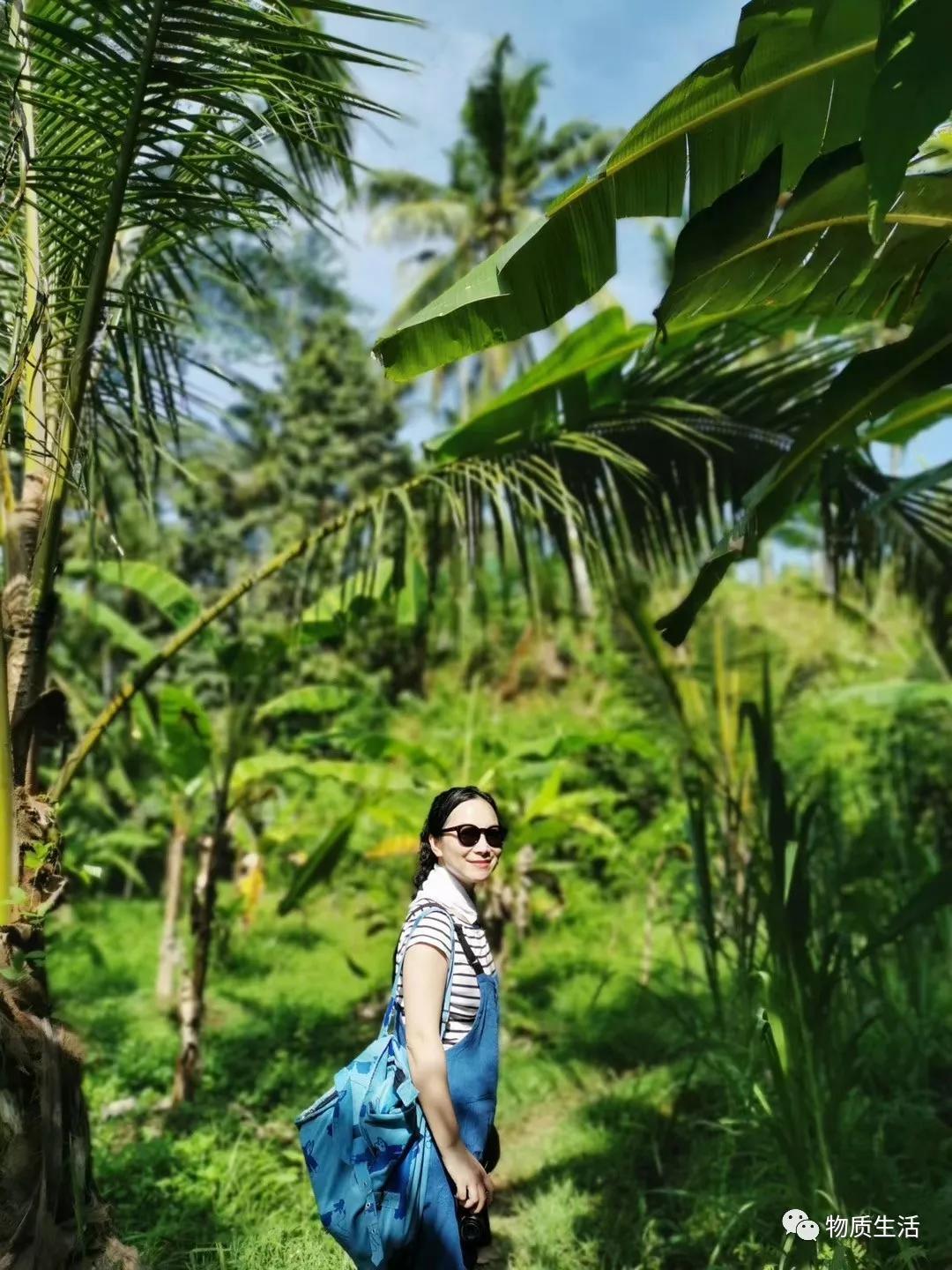 巴厘岛四季如夏吗,阳光明媚的巴厘岛