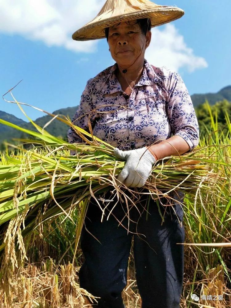 漳州南靖：有一种美，叫秋天的南靖