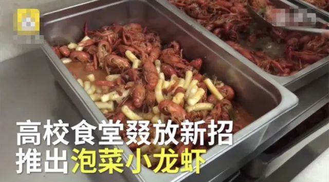 上海大学真正实力如何,上海大学被低估的专业排名