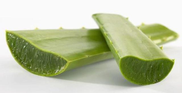 室内吸甲醛最好的10种花,新家养什么花可以除甲醛