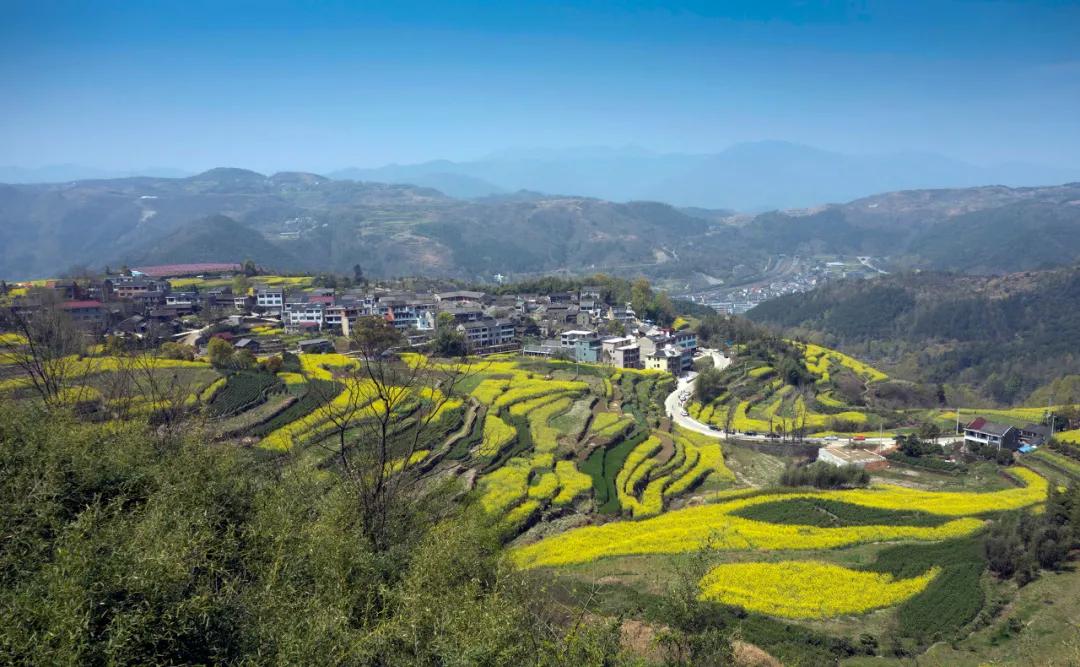 宁海属于中高风险吗,宁海潜力