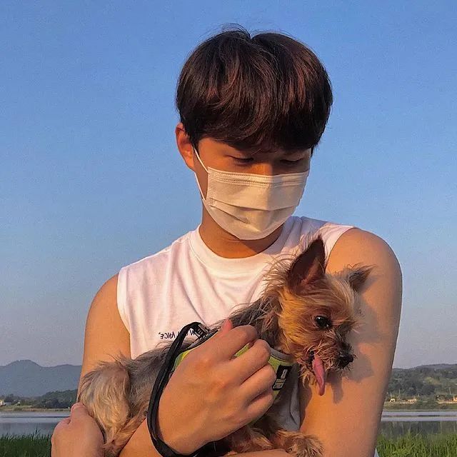 韩国插画师霸道总裁插画,韩国插画师笔下的情侣日常