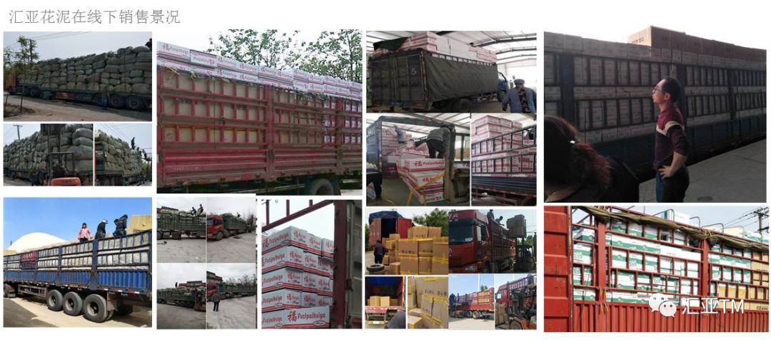 「品牌档案」汇亚·中国花泥行业优质品牌