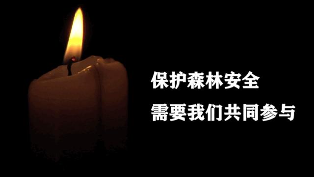 广安市广安区火灾最新事件,广安发生火灾