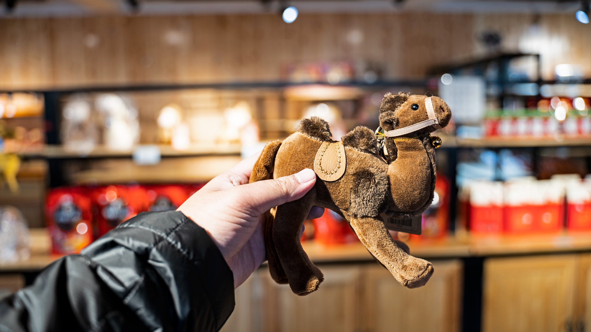 来宁夏玩的攻略,从宁夏去内蒙怎么玩