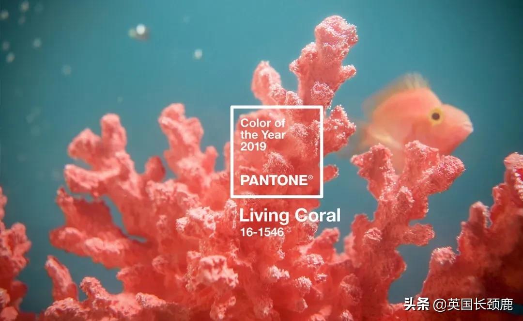 2021年世界流行颜色排行榜,2022pantone年度代表色