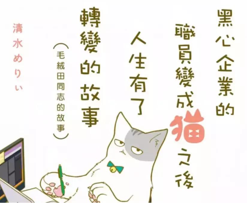 假如自己变成猫是什么体验,从人类变成猫是什么体验