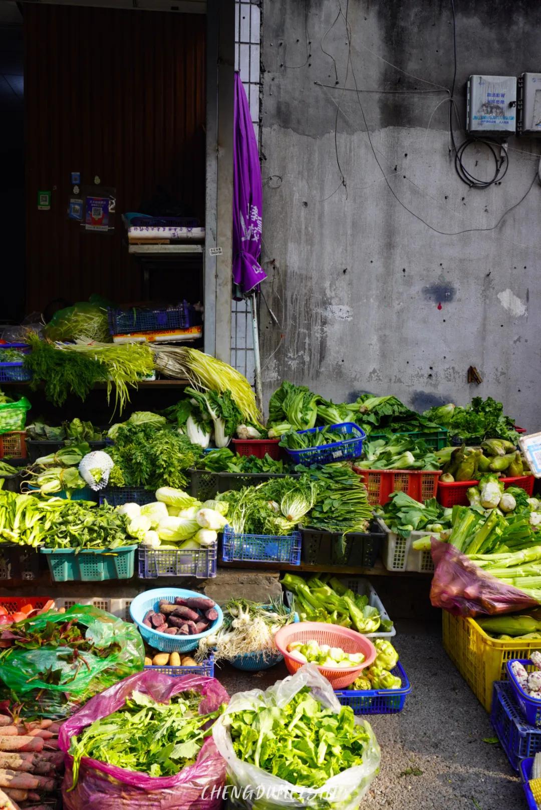 成都闹市区有家苍蝇馆子40平米,成都苍蝇馆子本地人推荐便宜好吃